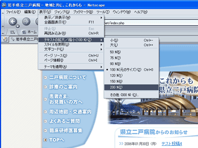 ネットスケープスクリーンショット